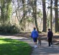people walking down path