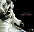 promotional poster of Magnificent Desolation