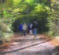 people walking in nature park