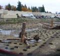 restoration site