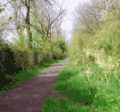 Park at Merryfield