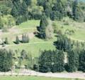 Memorial Park - Meadow Area