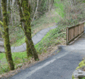 Boeckman Creek Crossing Trail