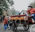 Harvest Festival