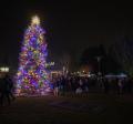 tree lighting