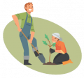 people digging up plants