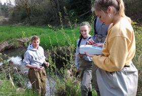 creek monitoring