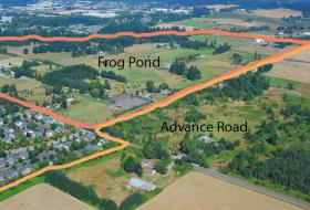 Frog Pond Aerial View