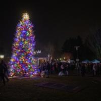 tree lighting