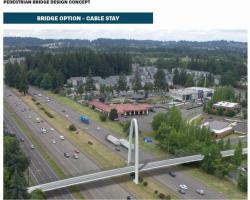Cable Stay Bridge
