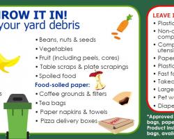 Graphic illustrating what can and cannot be included in residential organics bin.