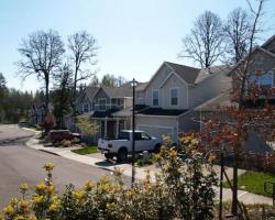Neighborhood Street View