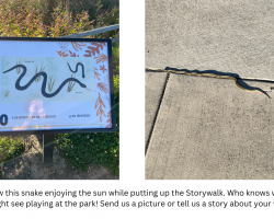 We saw a snake at the storywalk!