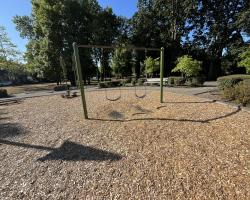 Swings