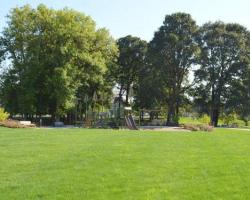 field