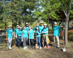 werk volunteers 