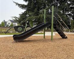 Frog Pond Neighborhood Park Slide