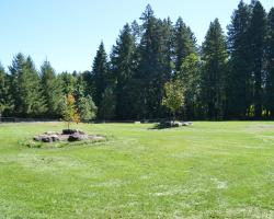 field with two trees