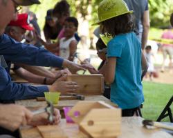 building bird house