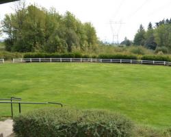 Large Grass Area