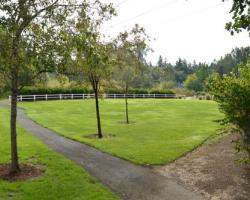 grass area