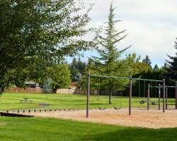 swings