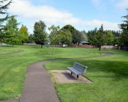 bench in grassy area