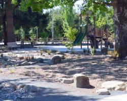 BBQ and Picnic Table