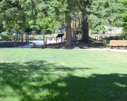Grassy Area