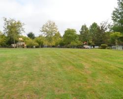grass field