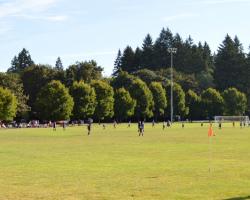 soccer field