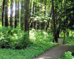 walking path