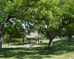 View of the Grove Shelter from the Path