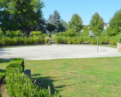 Basketball Court