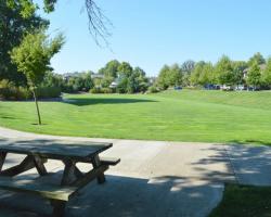 Picnic Table and Grass Area