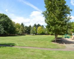 grassy area