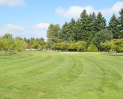 grassy area