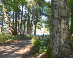 trail