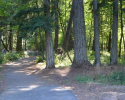 trail