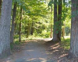 trail