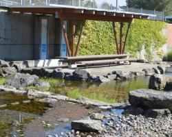 picnic table next to river