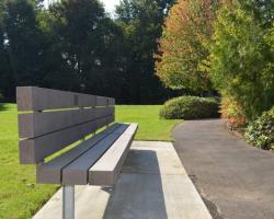bench near walkway