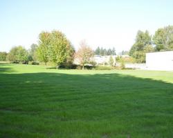 grassy area