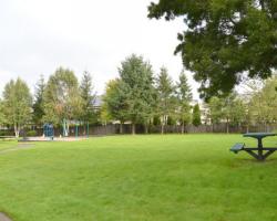 grassy area