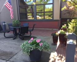 Front Plants