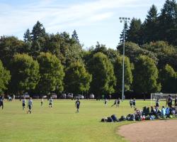 soccer
