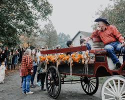 horse and carriage rides