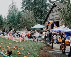 harvest fest 