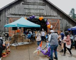 harvest fest