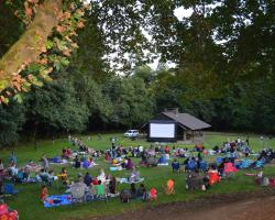 crowd sitting in front of movie screen